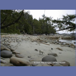2001_132_Typhoon Island_Kildidt_Sound.html